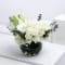 Calm White | 30 Flower